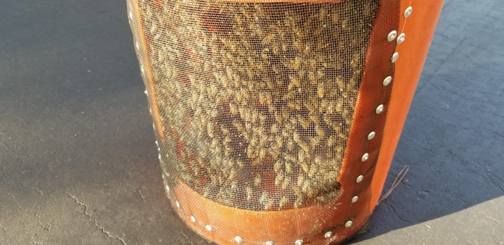 Moblie Bee Hive